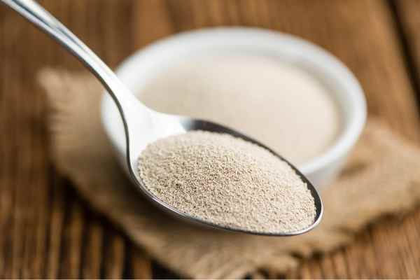 Fermento natural caseiro